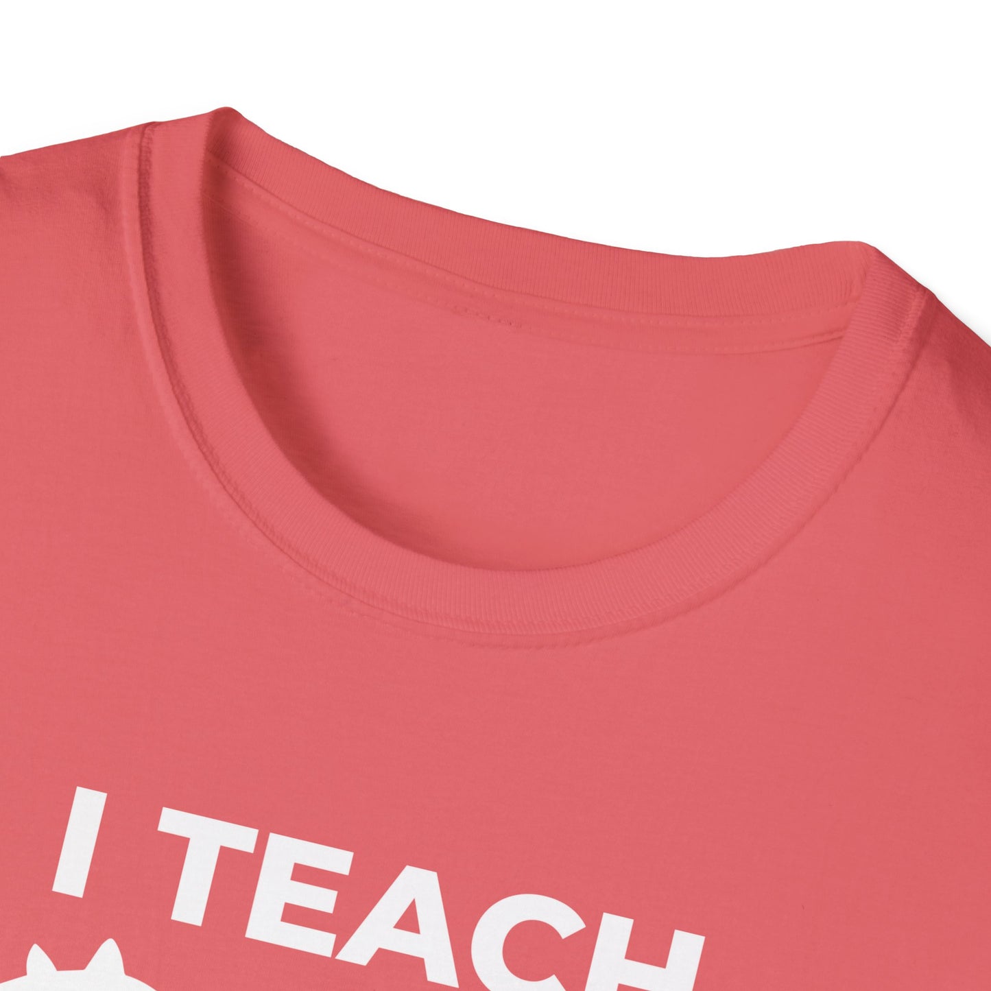 I Teach School T-Shirt | Minimalist Teacher Shirt | School of Fish Shirt | Gift for Teachers